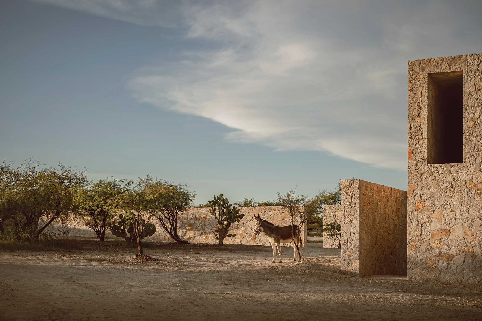 HW STUDIO Arquitectos,墨西哥,住宅設計,國外住宅設計案例,極簡風格,景觀住宅,獨棟住宅,侘寂風格,極簡主義