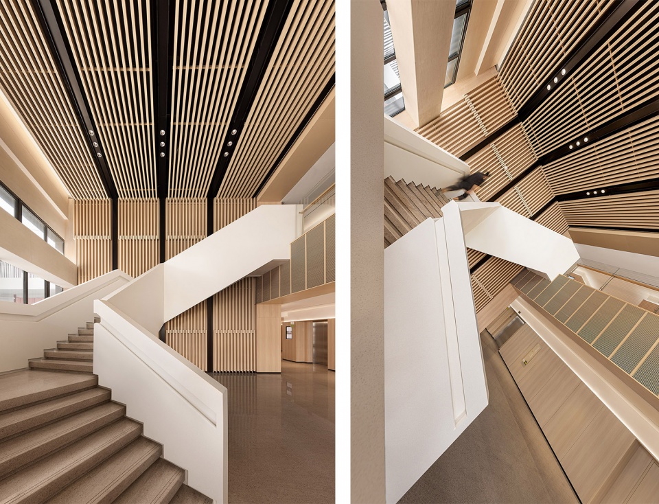 小學設計,學校設計,校園設計,學校設計案例,校園改造,學校裝修,中學設計,前海國王國際學校,深圳,深圳小學,矩陣縱橫