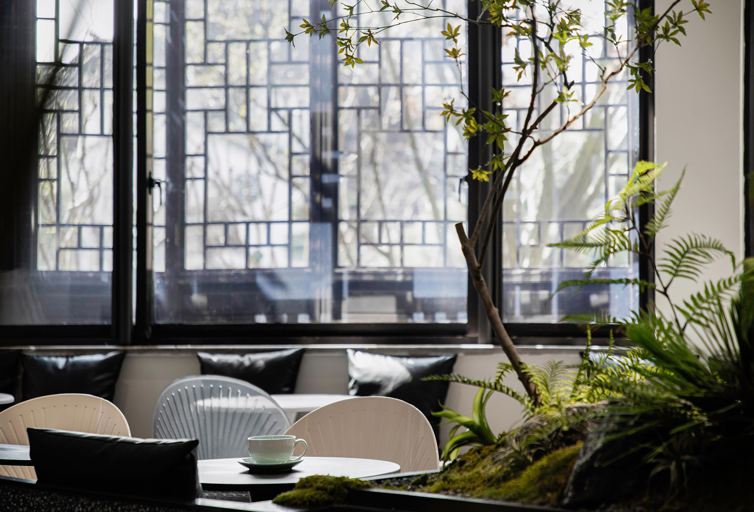 咖啡廳設計案例,咖啡廳設計方案,咖啡店設計,咖啡廳設計,小咖啡店設計,網紅咖啡廳,創意咖啡店,蘇州,老街裏的咖啡培訓工坊,lim cafe,楊楠,平介設計