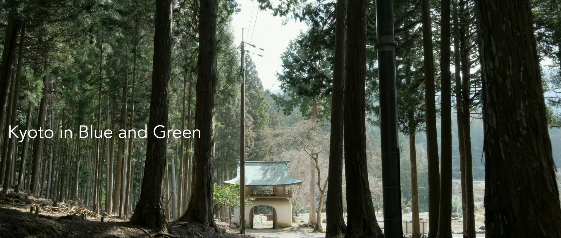 Wabi-Sabi-侘寂庭院,侘寂庭院,京都,侘寂設計,侘寂視頻下載,日式侘寂庭院