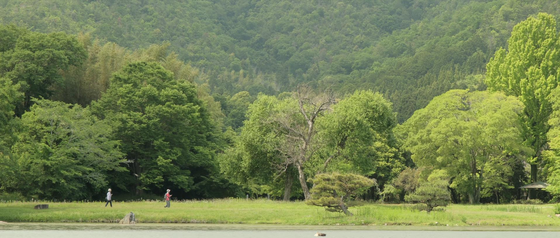 Wabi-Sabi-侘寂庭院,侘寂庭院,京都,侘寂設計,侘寂視頻下載,日式侘寂庭院