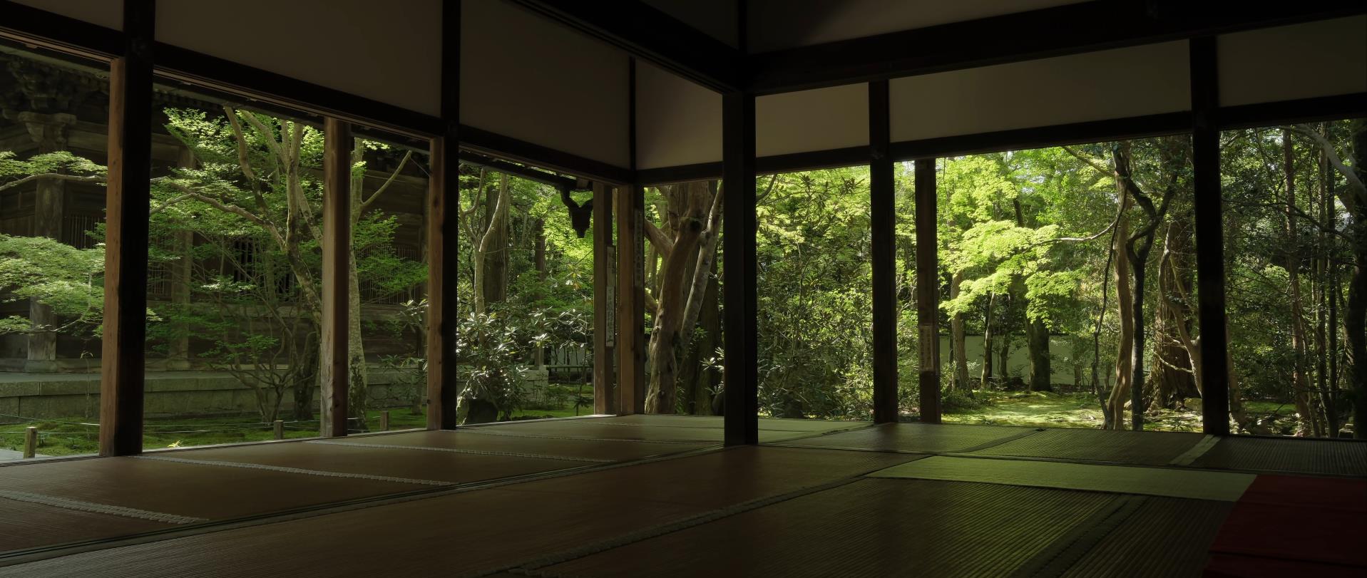 Wabi-Sabi-侘寂庭院,侘寂庭院,京都,侘寂設計,侘寂視頻下載,日式侘寂庭院