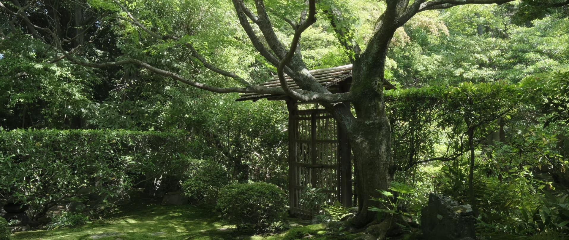 Wabi-Sabi-侘寂庭院,侘寂庭院,京都,侘寂設計,侘寂視頻下載,日式侘寂庭院