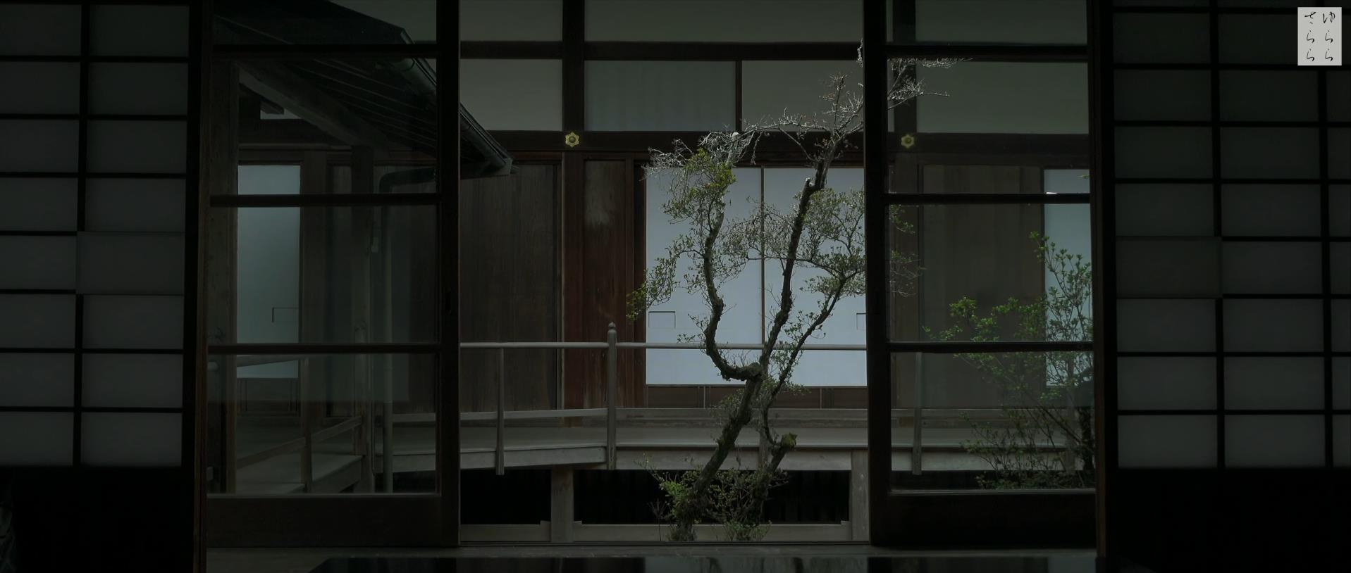 Wabi-Sabi-侘寂庭院,侘寂庭院,日本,侘寂設計,侘寂視頻下載,日式侘寂庭院