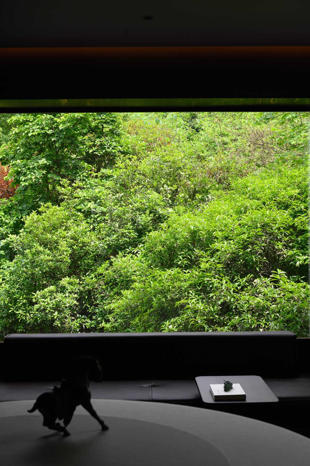 餐廳設計,高檔餐廳設計,壹方設計,中式餐廳設計,新中式餐廳,杭州,餐廳設計案例,杭州玉皇捌號,橖峪室內設計,杭州花敢當景觀,壹+品牌管理谘詢,胡澤