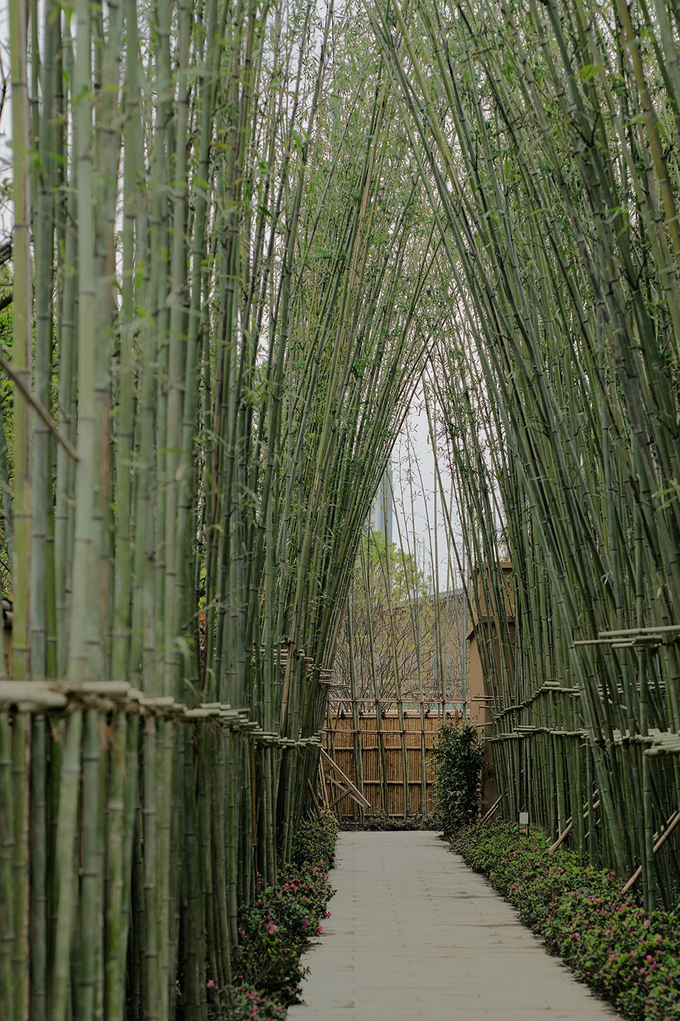 酒店設計,設計酒店,度假酒店設計,酒店設計案例,高檔酒店設計,酒店設計方案,酒店裝修,成都,溫江悅椿酒店,CCD香港鄭中設計事務所