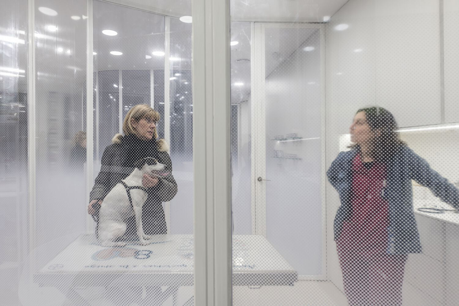 診所設計,國外診所設計,診所設計案例,VIDA Arquitectura,西班牙,獸醫診所,獸醫醫院,Rosvet Veterinary,115㎡