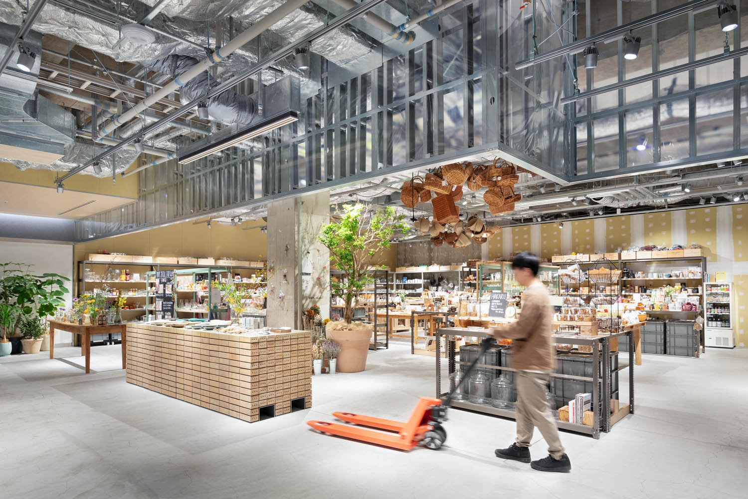 零售店設計,Schemata Architects + Jo Nagasaka,花店設計,零售店設計案例,零售店設計方案,商店設計,雜貨店設計,生活用品集合店,日本,澀穀,TODAY’S SPECIAL