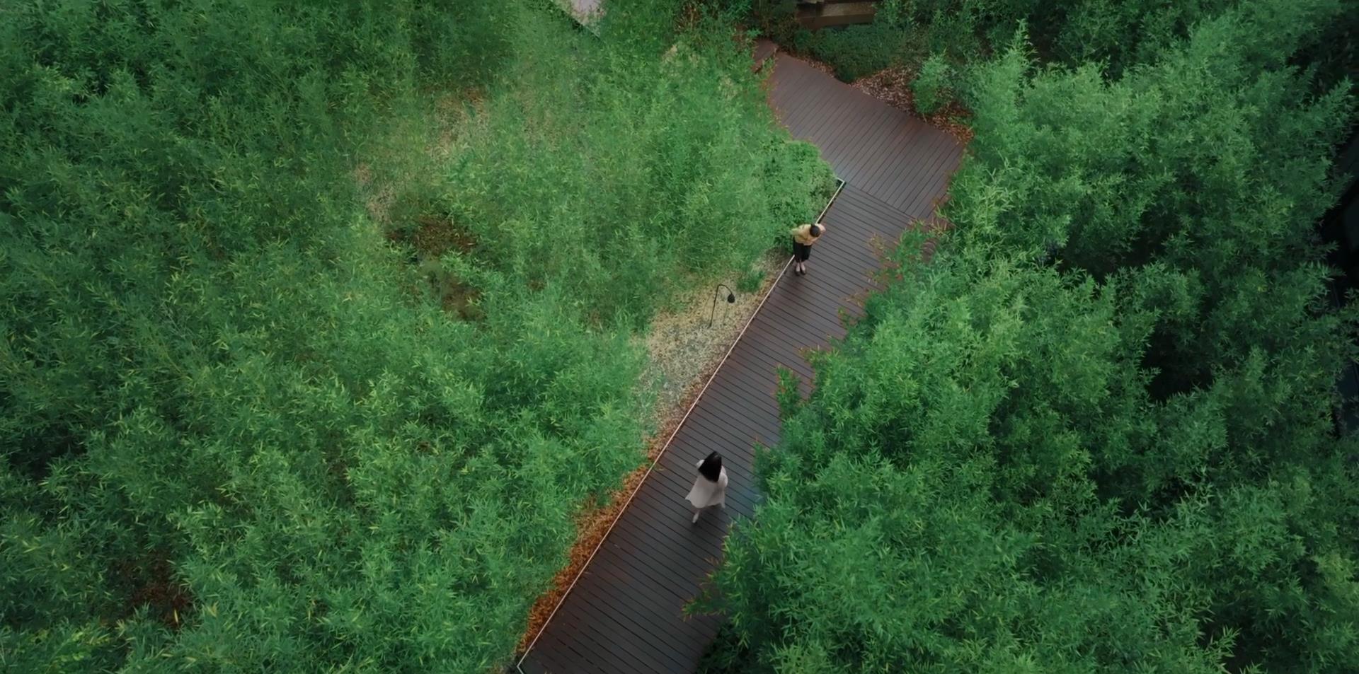 虹夕諾雅,酒店設計,酒店高清視頻,日式酒店,溫泉酒店,虹夕諾雅 沖縄,虹夕諾雅 東京,虹夕諾雅 富士,虹夕諾雅 穀關,虹夕諾雅 京都,虹夕諾雅 軽井沢,虹夕諾雅 竹富島,星野集團,高端度假酒店