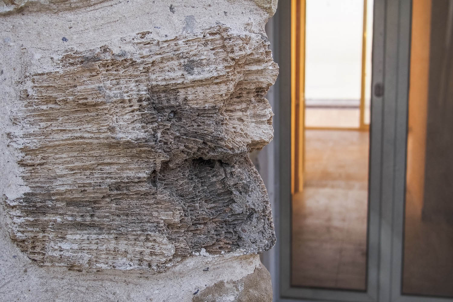 別墅設計,埃及,Karm Architecture Lab,海濱別墅,別墅設計案例,255㎡,別墅設計方案,海景別墅