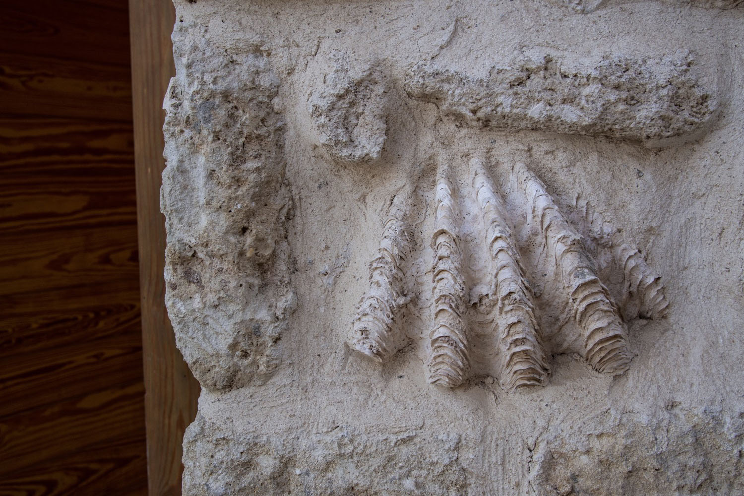 別墅設計,埃及,Karm Architecture Lab,海濱別墅,別墅設計案例,255㎡,別墅設計方案,海景別墅