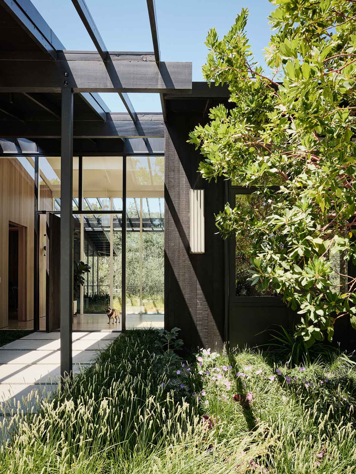 別墅設計,美國,原木色,極簡風格,別墅設計案例,泳池庭院別墅,別墅設計方案,加利福尼亞,Piechota Architecture