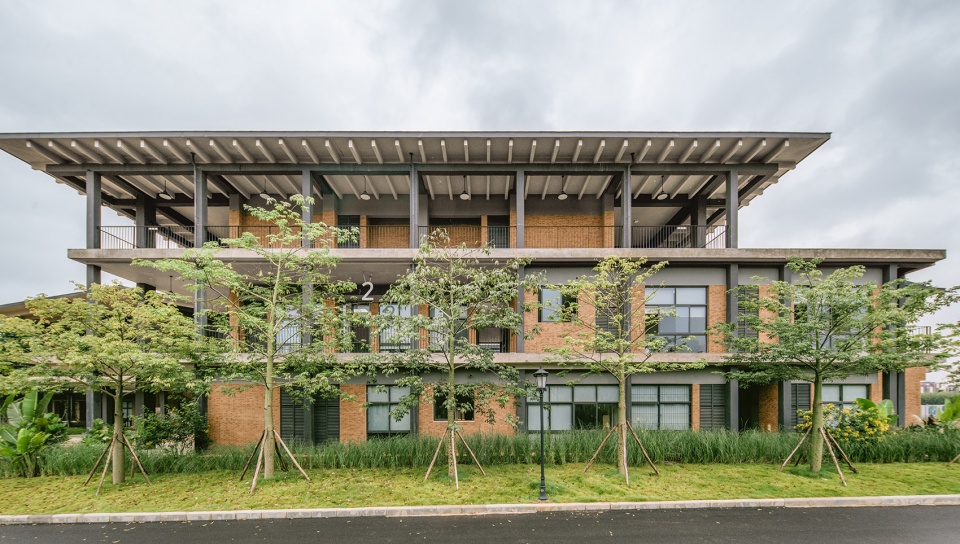 小學設計,學校設計,校園設計,學校設計案例,校園改造,學校裝修,中學設計,廣西崇左,樂知學校,大料建築