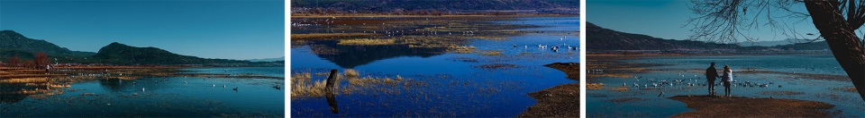 酒店設計,設計酒店,度假酒店設計,酒店設計案例,民宿設計,酒店設計方案,酒店裝修,雲南,麗江拉市海麗世山居酒店,尤磊工作室