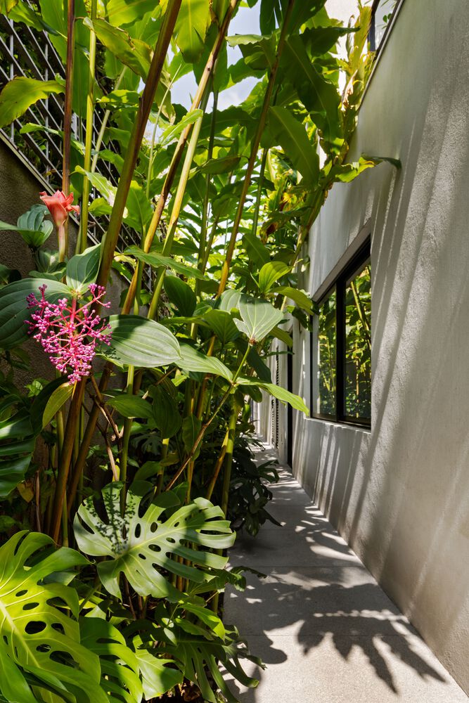 住宅設計,別墅設計案例,Gabriella Ornaghi,庭院別墅,巴西,國外住宅設計案例,400㎡,聖保羅,景觀別墅