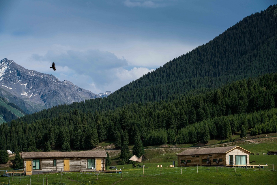 民宿設計,民宿改造設計,度假民宿設計,民宿設計案例,民宿設計方案,酒店設計,設計酒店,新疆伊犁,哈薩克自治州青空冀翼民宿,魔匠德克空間設計