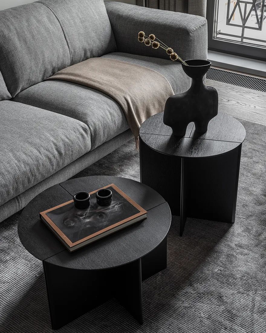 Svetlana Herzen,公寓設計,公寓設計案例,65㎡,深色係,小公寓,小公寓設計效果圖,小戶型設計,單身公寓