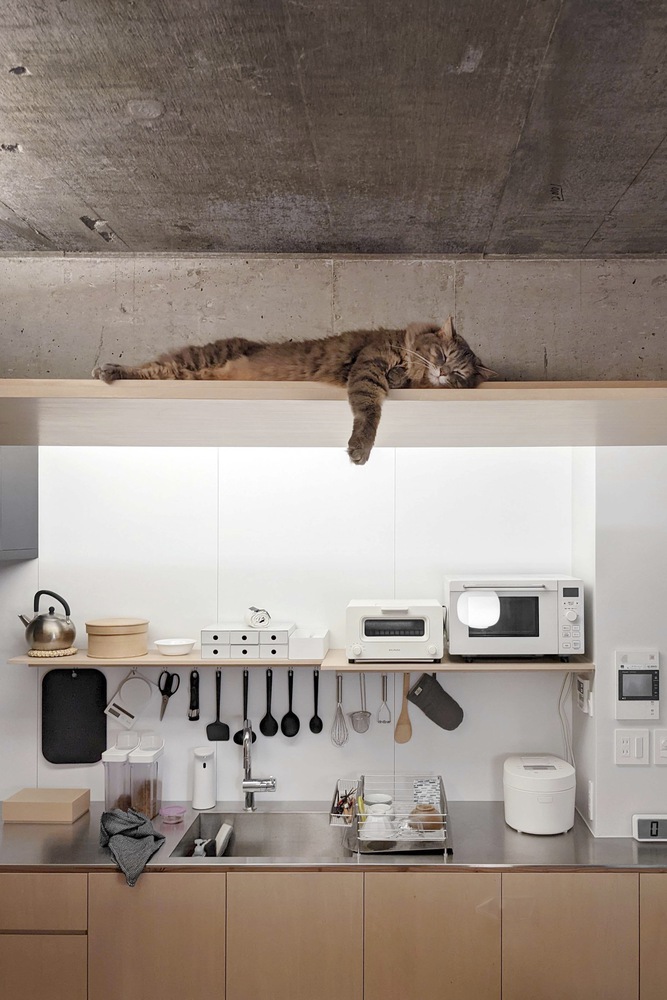 Hiroyasu Imai,公寓設計,公寓設計案例,65㎡,公寓改造,日本,鬆戶,公寓翻新改造,混凝土,原木色