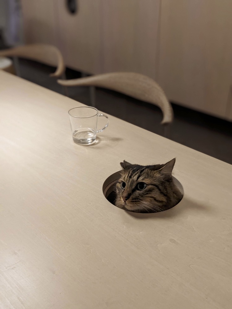 Hiroyasu Imai,公寓設計,公寓設計案例,65㎡,公寓改造,日本,鬆戶,公寓翻新改造,混凝土,原木色