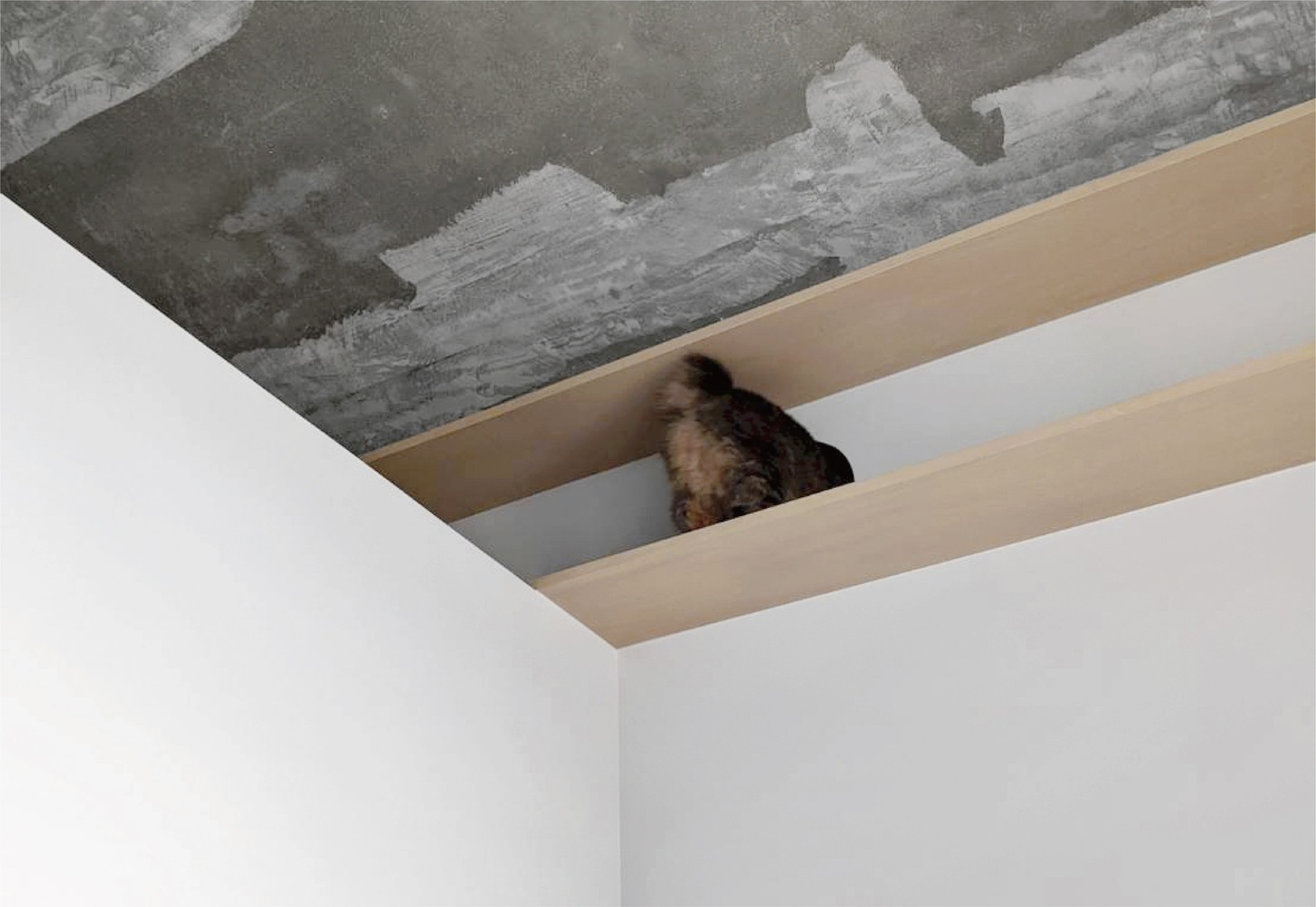 Hiroyasu Imai,公寓設計,公寓設計案例,65㎡,公寓改造,日本,鬆戶,公寓翻新改造,混凝土,原木色