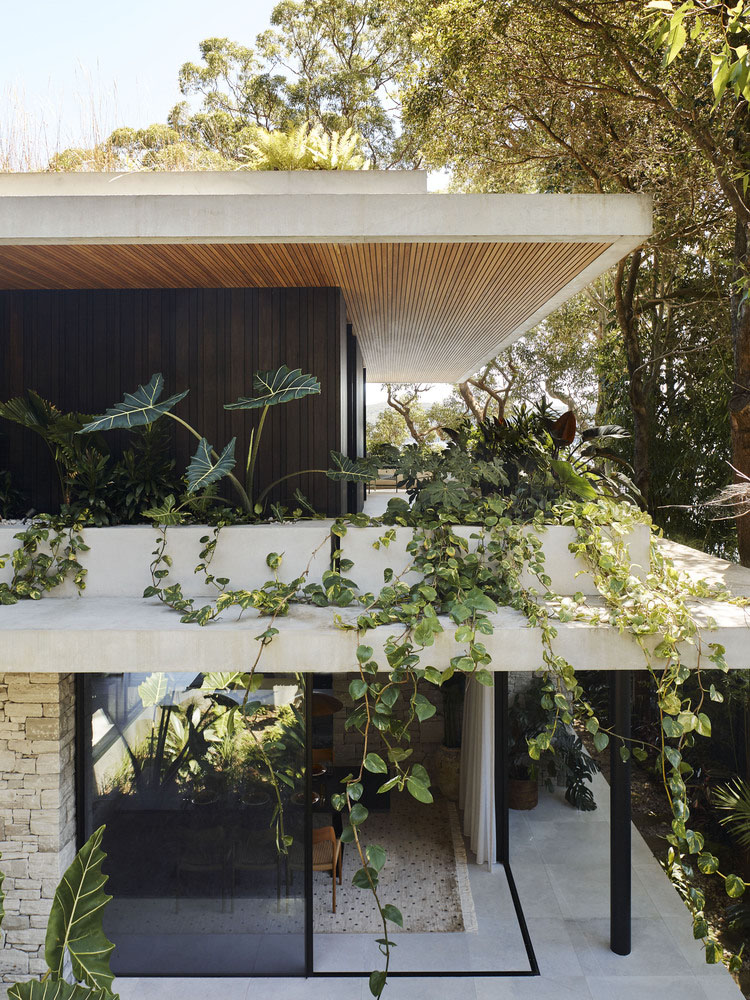 Rama Architects,別墅設計案例,別墅設計方案,開放式別墅,澳大利亞,海景別墅,景觀別墅,原木色,下沉式客廳