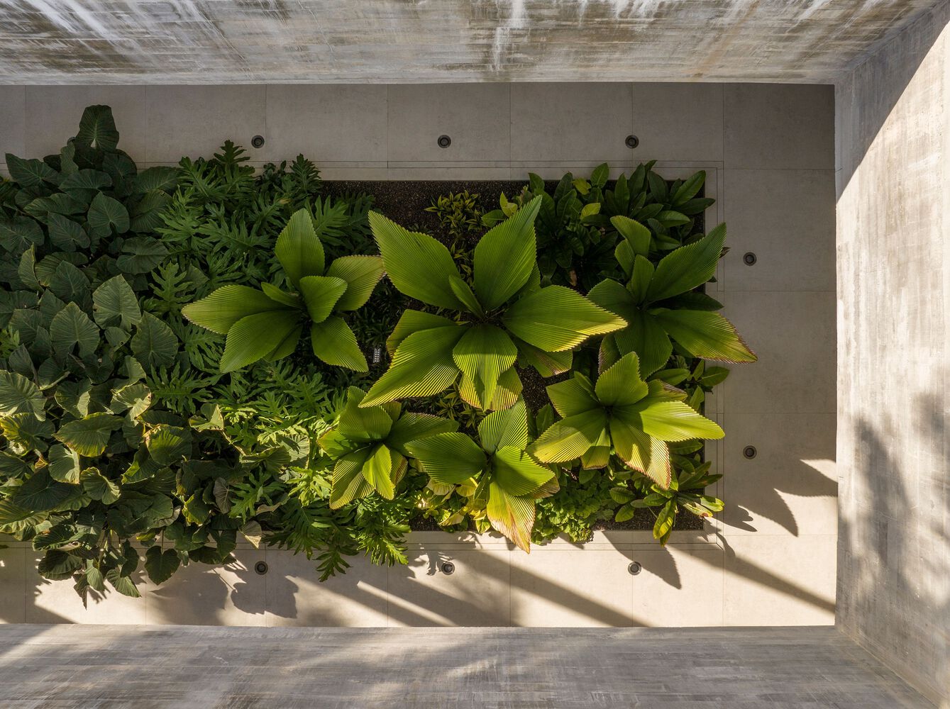 Saraiva e Associados,別墅設計案例,別墅設計方案,開放式別墅,巴西,海景別墅,景觀別墅,原木色