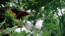 餐廳設計,餐廳設計案例,餐廳設計方案,休閑餐廳設計,網紅餐廳,餐廳裝修,餐廳效果圖,餐廳改造,spa,按摩店設計,西雙版納,春武裏,方糖設計