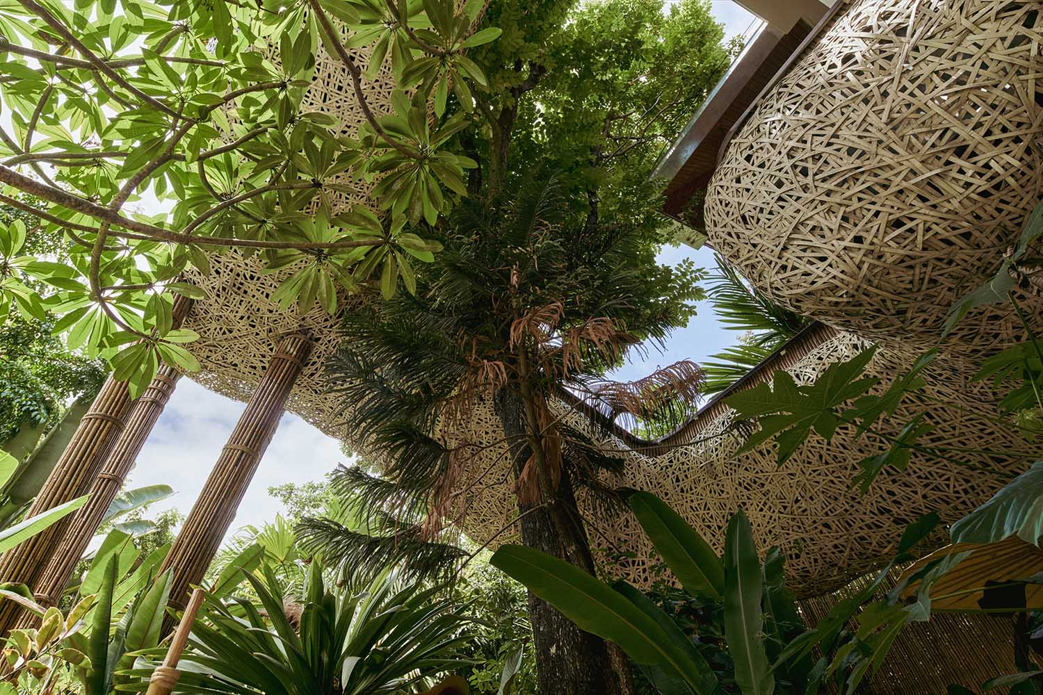 餐廳設計,餐廳設計案例,餐廳設計方案,休閑餐廳設計,網紅餐廳,餐廳裝修,餐廳效果圖,餐廳改造,spa,按摩店設計,西雙版納,春武裏,方糖設計