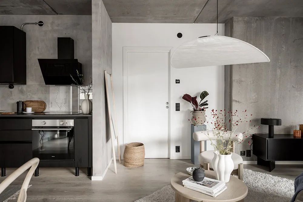 lundin,公寓設計,公寓設計案例,45㎡,工業風,小公寓,小公寓設計效果圖,小戶型設計,哥德堡