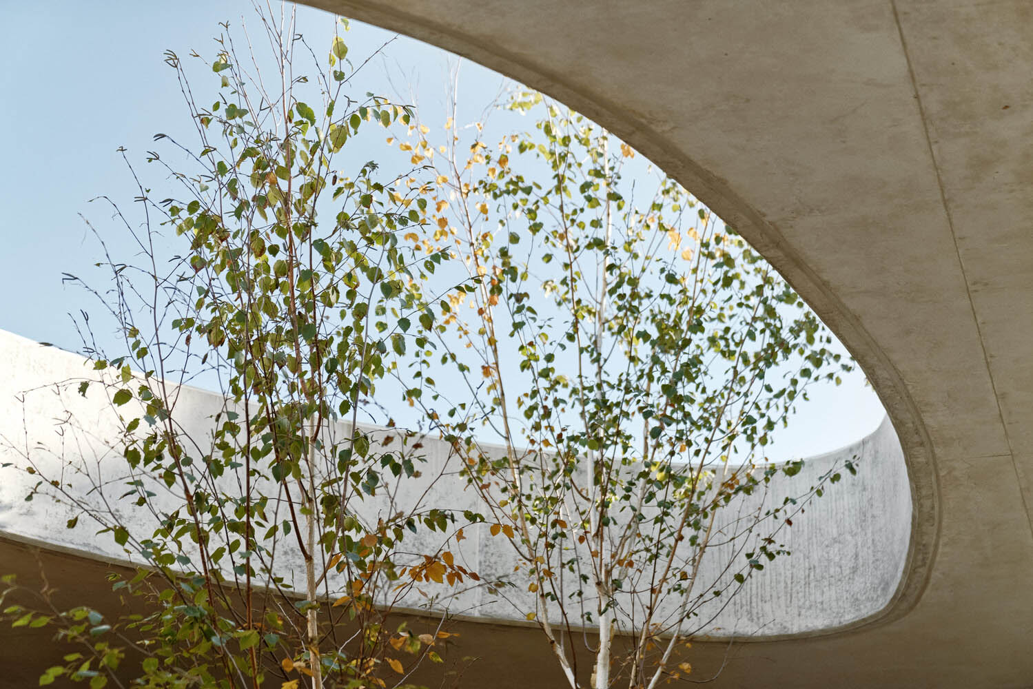 PL.Architekci,別墅設計案例,別墅設計方案,單層別墅,波蘭,國外別墅設計,500㎡