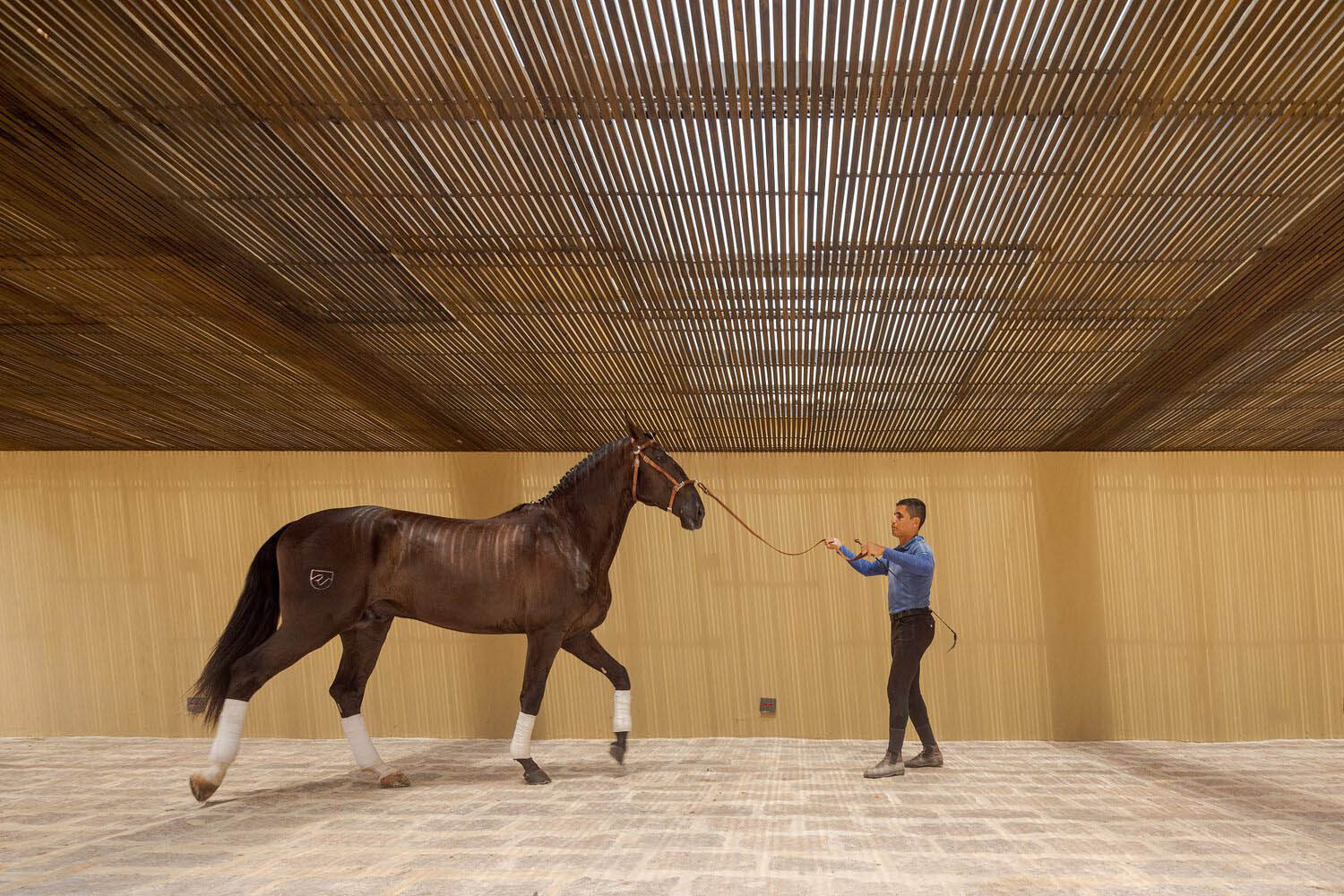 Studio Arthur Casas,別墅設計案例,別墅設計方案,開放式別墅,巴西,國外別墅設計,1400㎡,會所