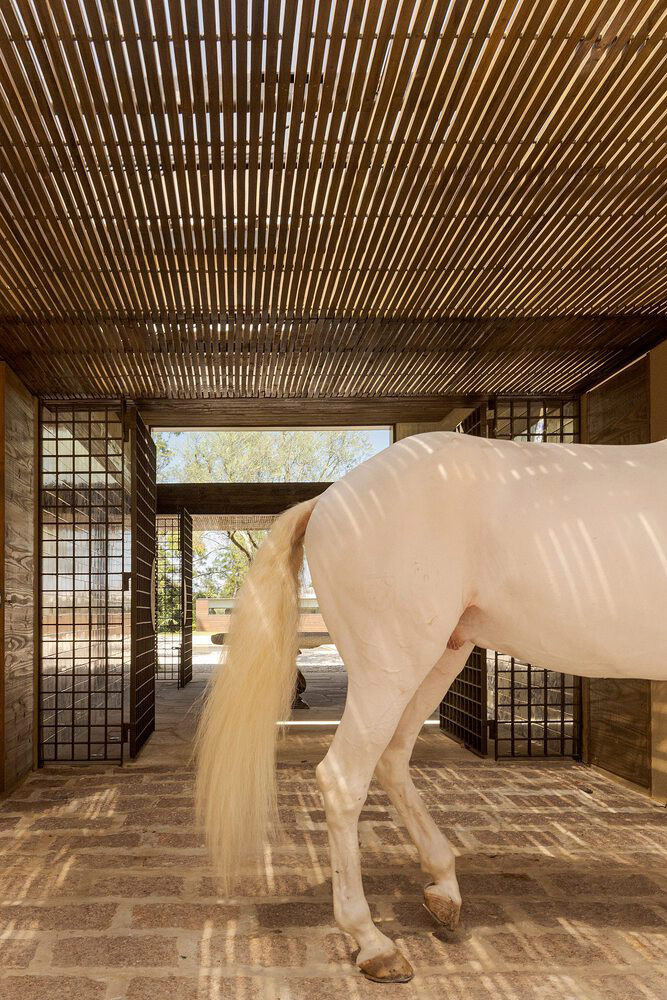 Studio Arthur Casas,別墅設計案例,別墅設計方案,開放式別墅,巴西,國外別墅設計,1400㎡,會所