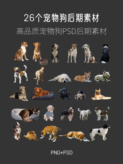 26個寵物狗後期素材合集，PSD+PNG