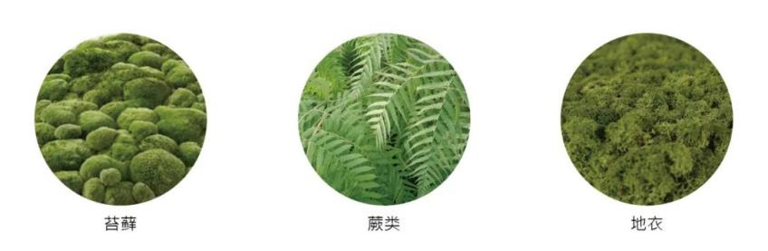 公共空間設計,衛生間設計,商場衛生間設計,商場衛生間裝修,公共廁所設計,公共衛生間設計,上海,壁上叢林交叉性別衛生間,佑向設計