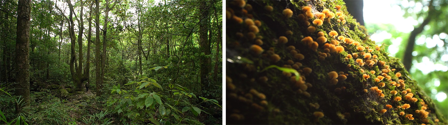 展廳設計,展廳設計案例,展廳設計方案,建材展廳設計,材料展廳設計,展廳裝修,東莞,唯木展廳建築的構成,T&D知行空間設計