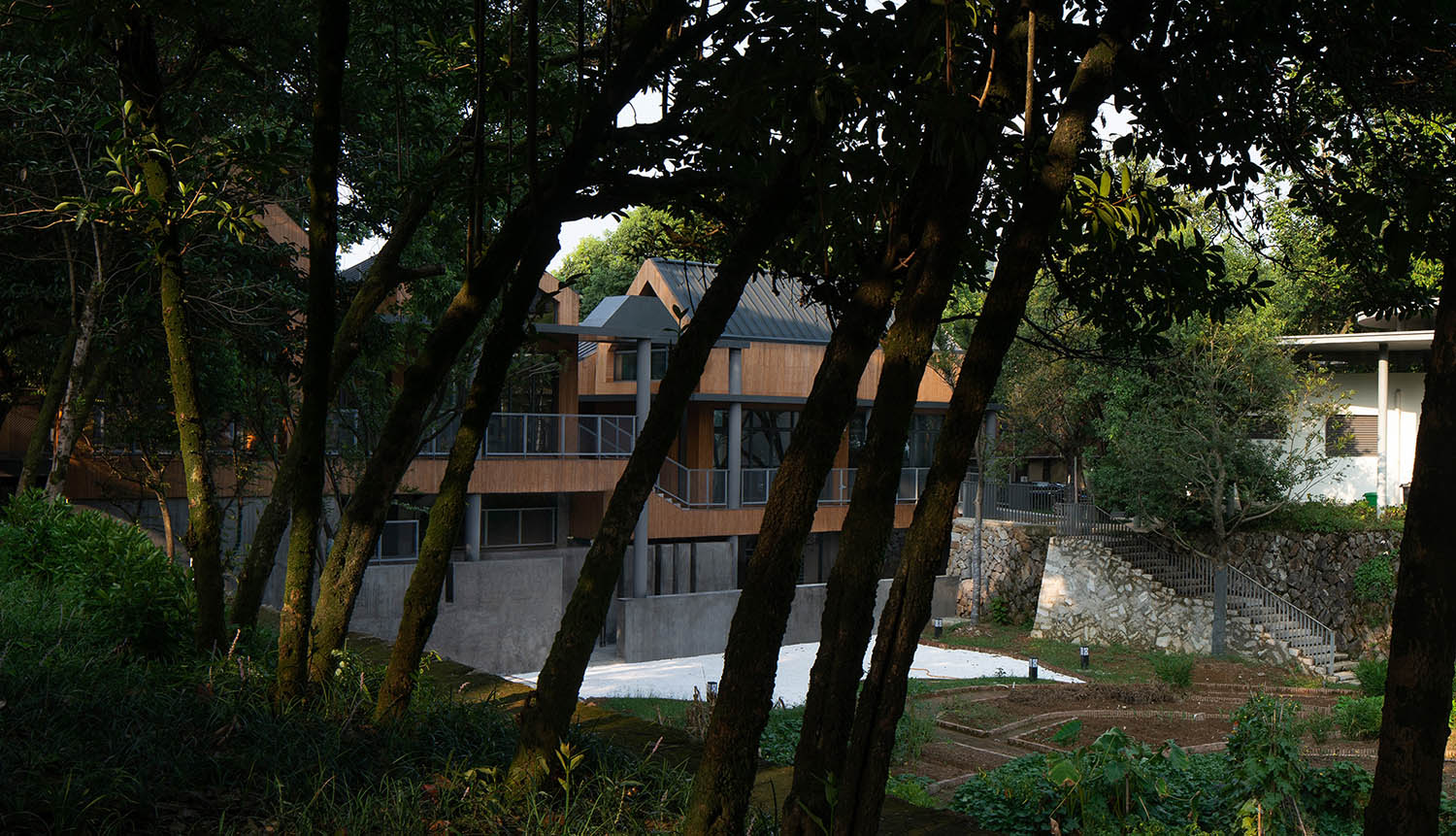 公共空間設計,鄉村公共空間設計,鄉村生活館,黨群服務中心設計,鄉村建築設計,衢州,溪口未來社區之家,嚴暘建築設計