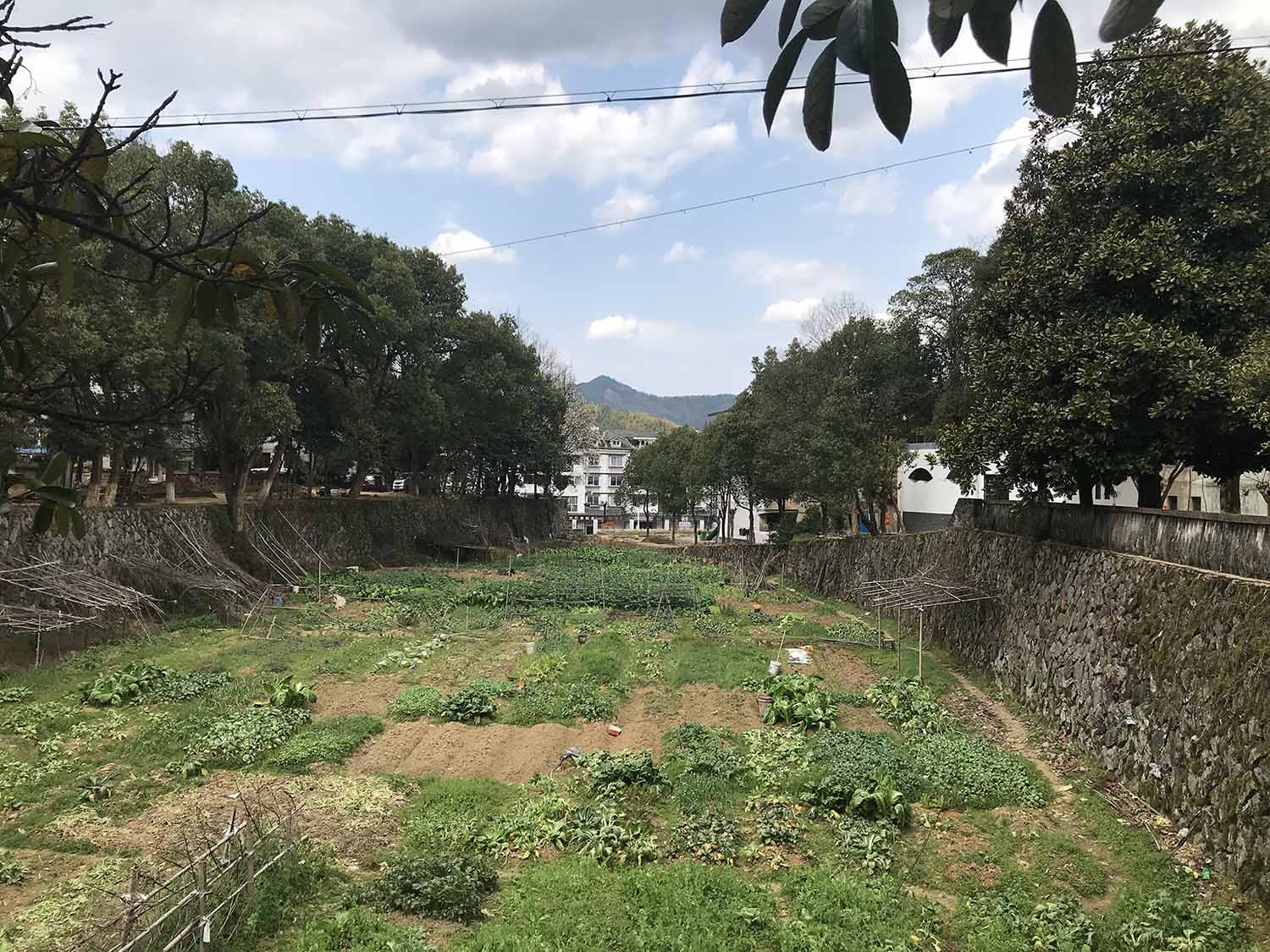 公共空間設計,鄉村公共空間設計,鄉村生活館,黨群服務中心設計,鄉村建築設計,衢州,溪口未來社區之家,嚴暘建築設計