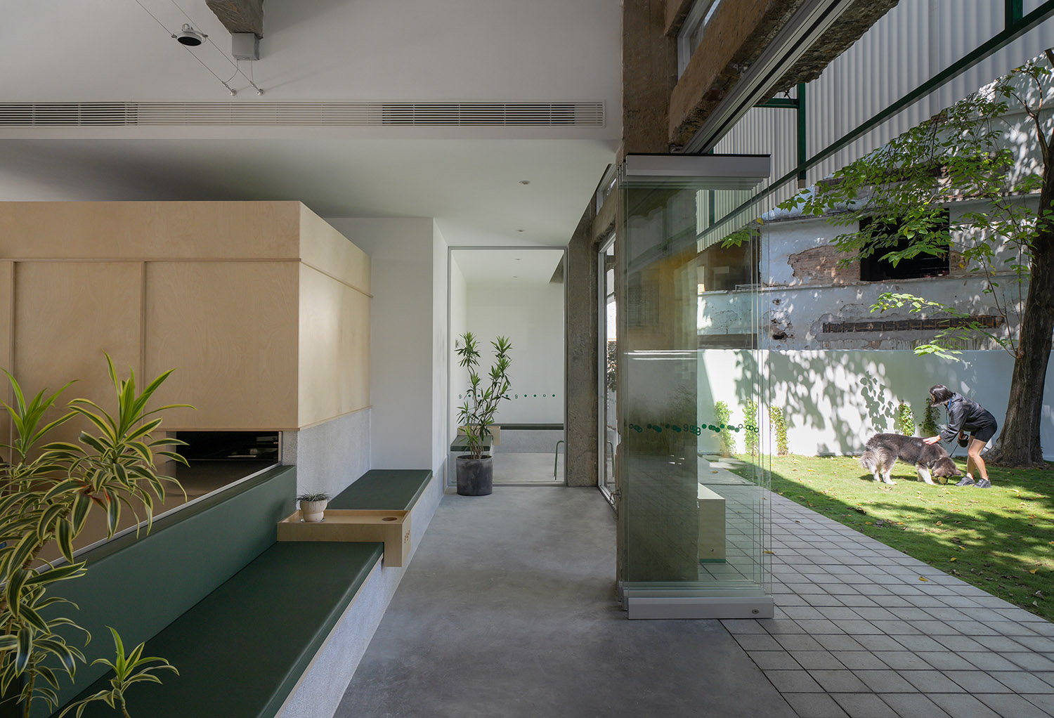 寵物店設計,社區寵物店設計,商店設計,寵物店設計案例,寵物店設計方案,寵物店裝修,惠州,惠州gogoland探尋人寵的理想社區空間,Informal異規設計