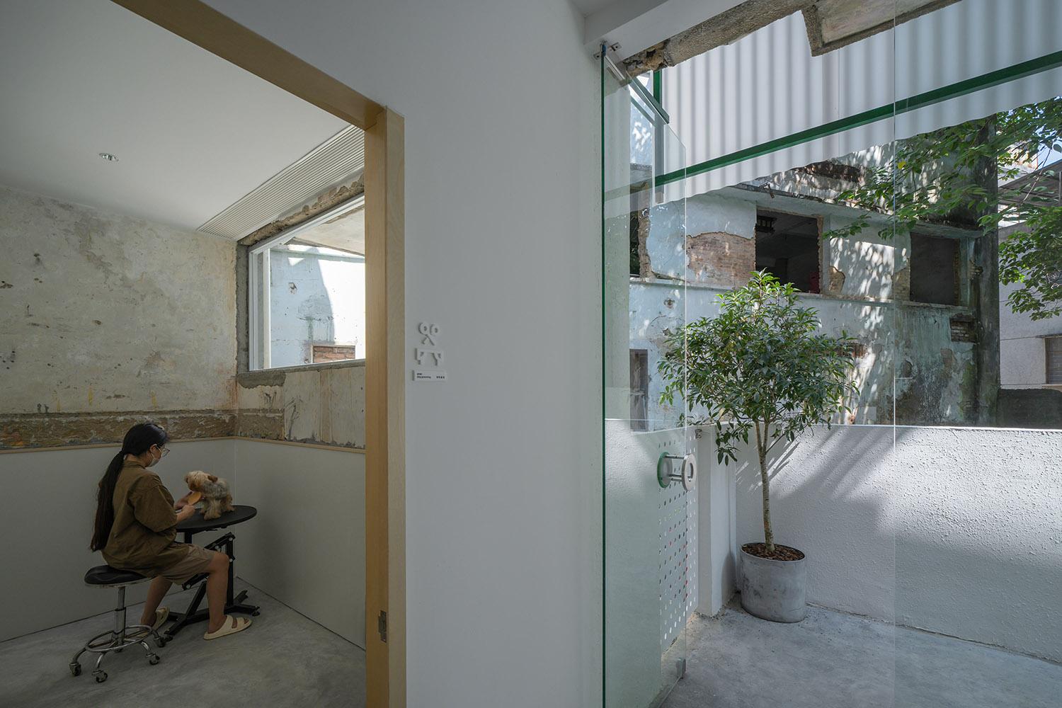 寵物店設計,社區寵物店設計,商店設計,寵物店設計案例,寵物店設計方案,寵物店裝修,惠州,惠州gogoland探尋人寵的理想社區空間,Informal異規設計