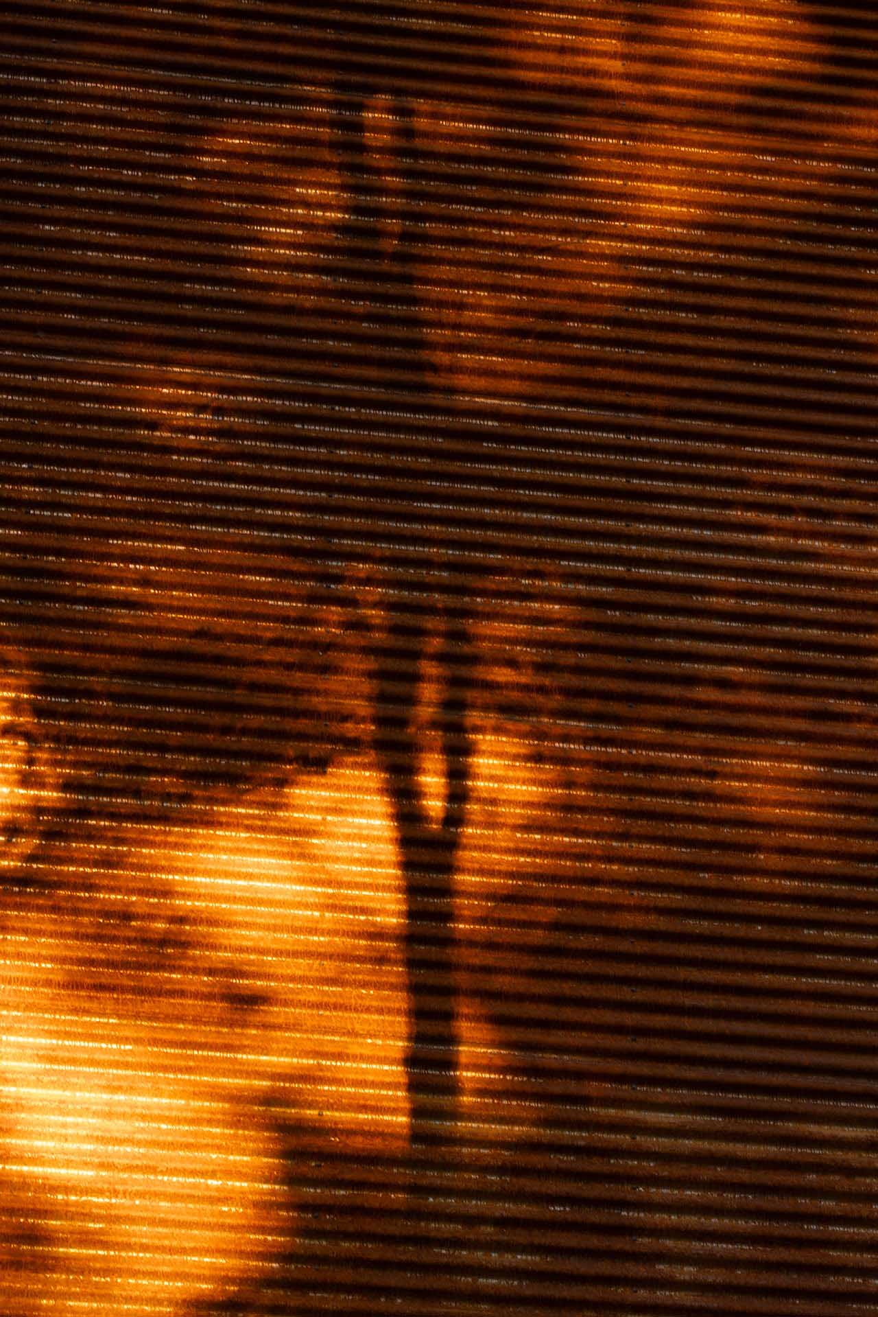 Omar Gandhi,住宅設計,住宅設計案例,度假小屋,現代主義,加拿大