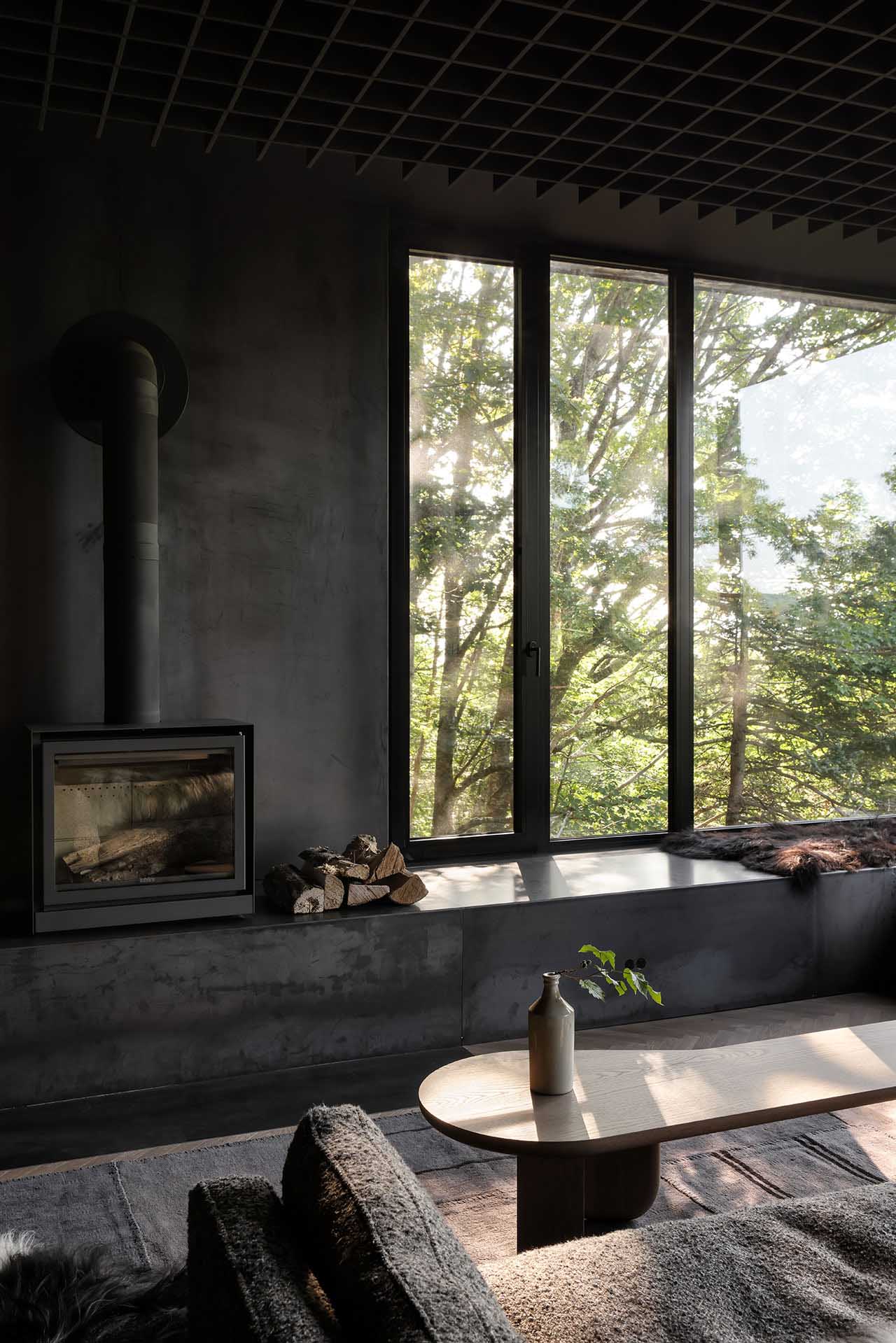 Omar Gandhi,住宅設計,住宅設計案例,度假小屋,現代主義,加拿大