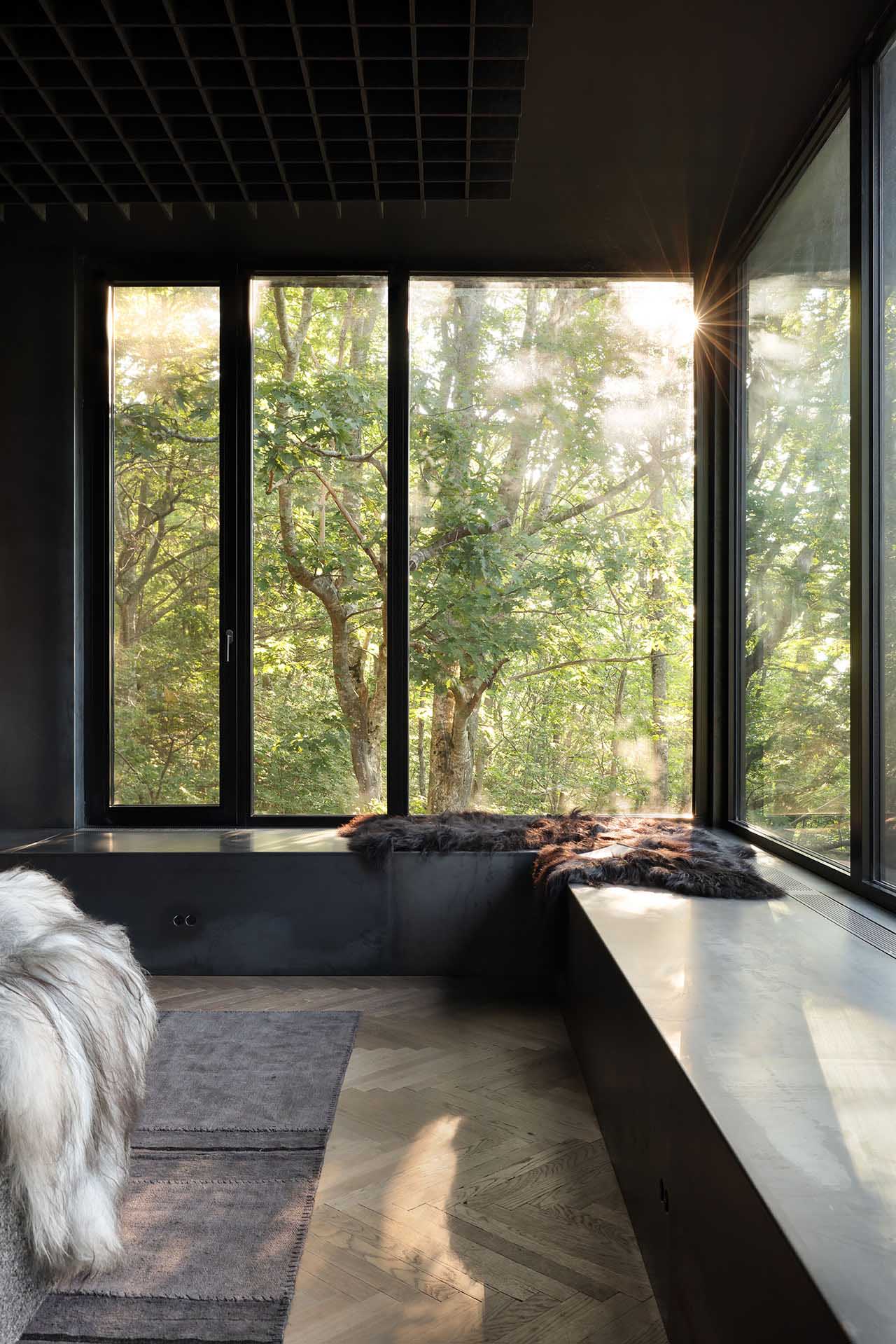 Omar Gandhi,住宅設計,住宅設計案例,度假小屋,現代主義,加拿大