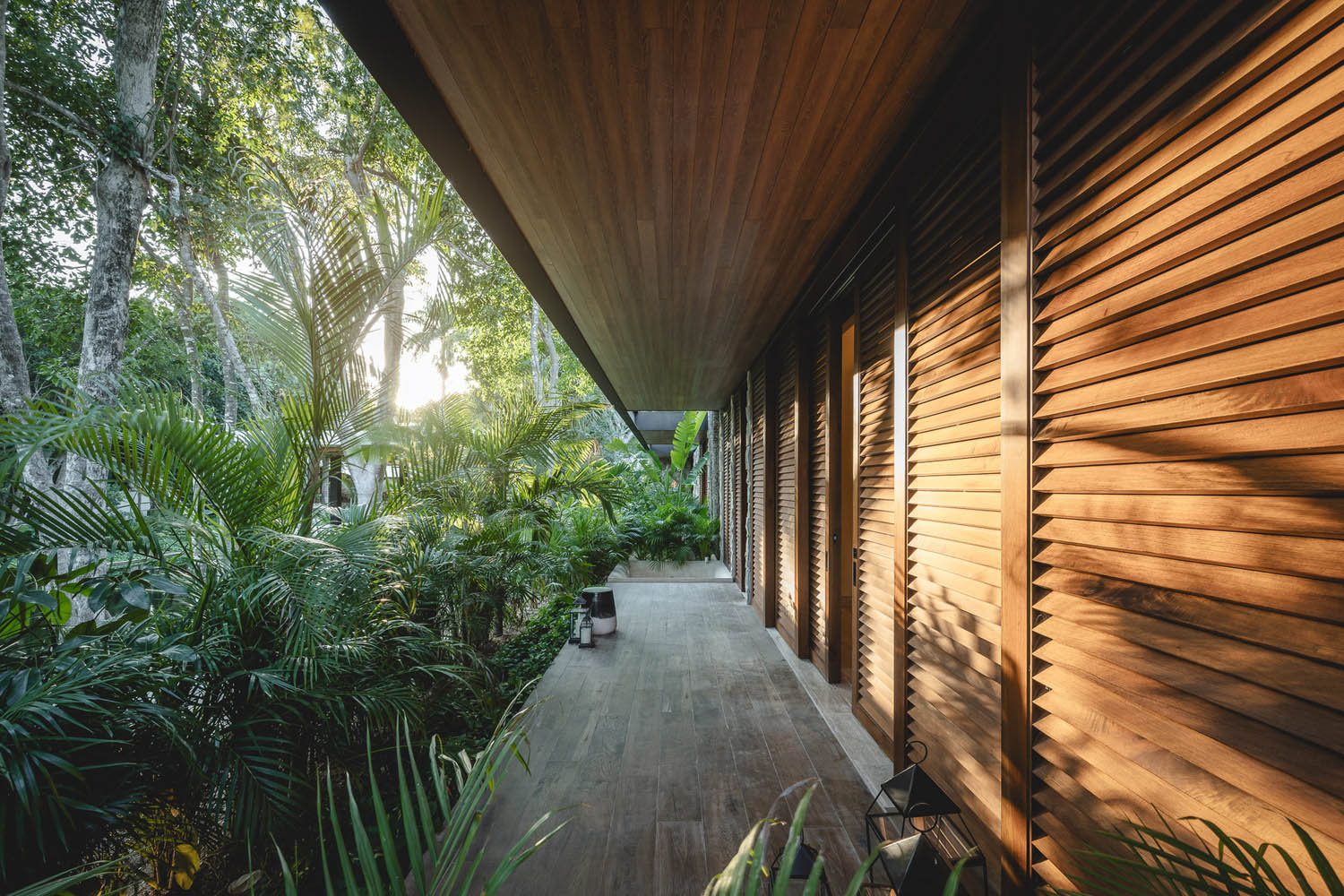 商業空間,SPA,Taller Mexicano de Arquitectura,酒店水療中心設計,Xcanatún莊園水療中心,水療中心設計方案,巴西,530㎡