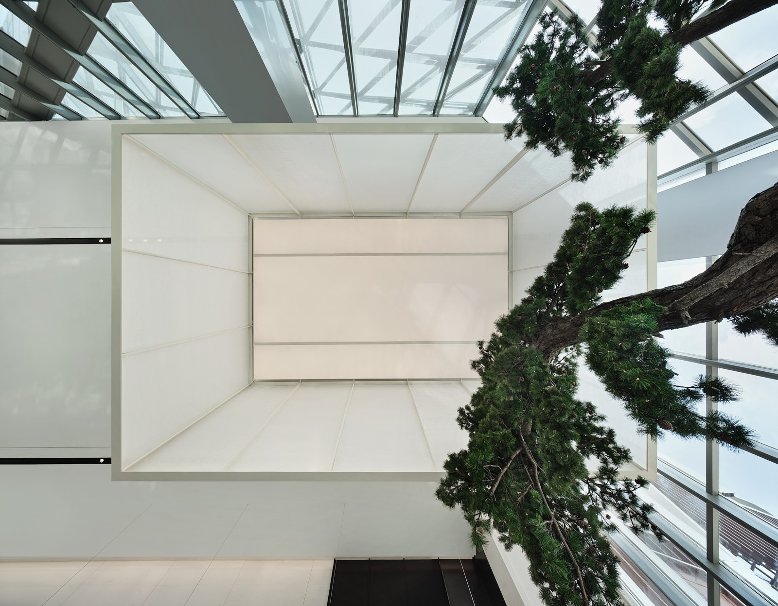 辦公室設計,辦公樓大堂設計,辦公室樣板間設計,現代風格辦公室設計,辦公室設計案例,上海力波中心,上海,於強室內設計師事務所,於強,YuQiang&Partners