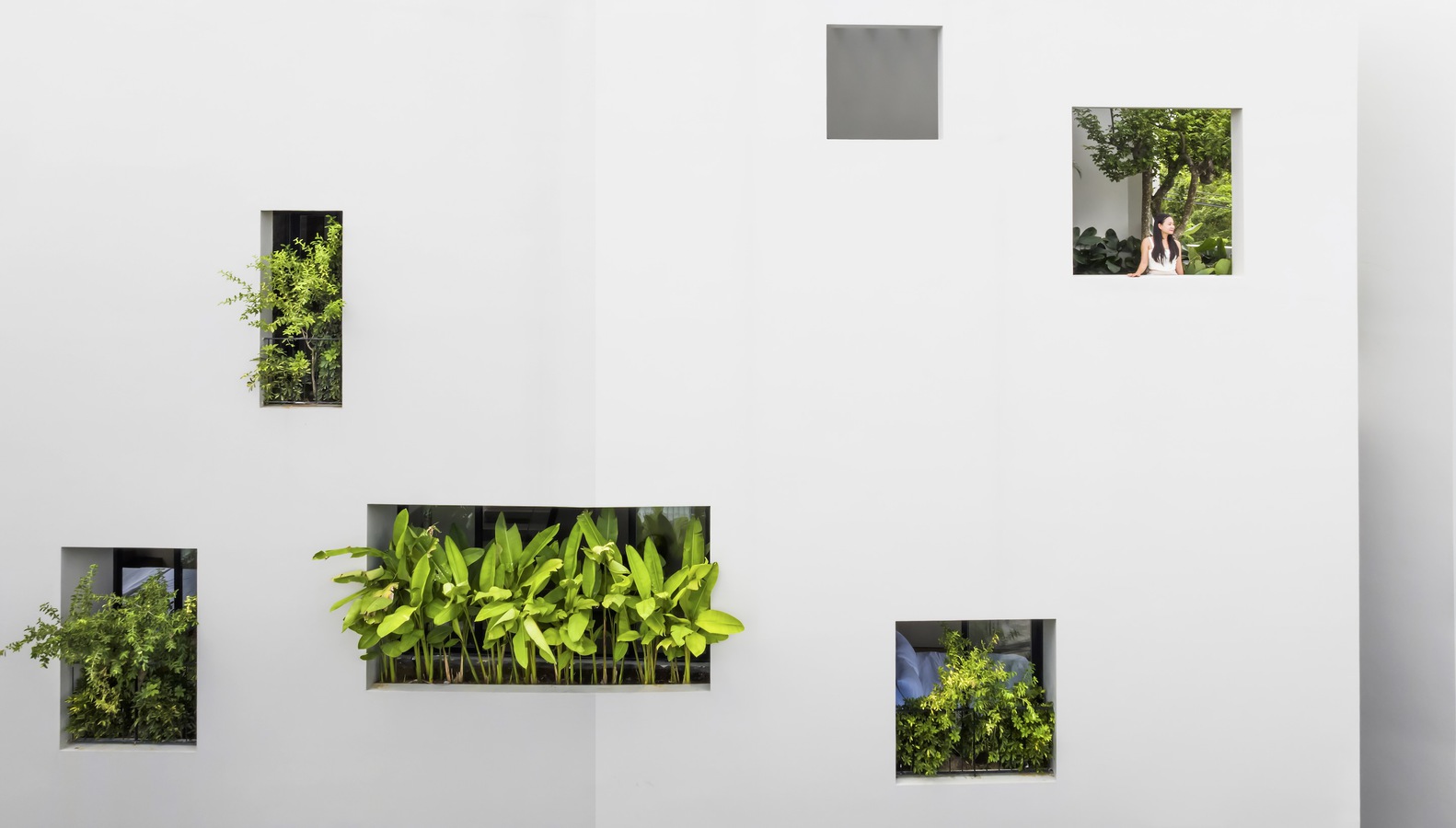 住宅設計,Pham Huu Son Architects,越南,別墅設計案例,住宅設計方案,芽莊,400㎡,別墅設計,聯排別墅