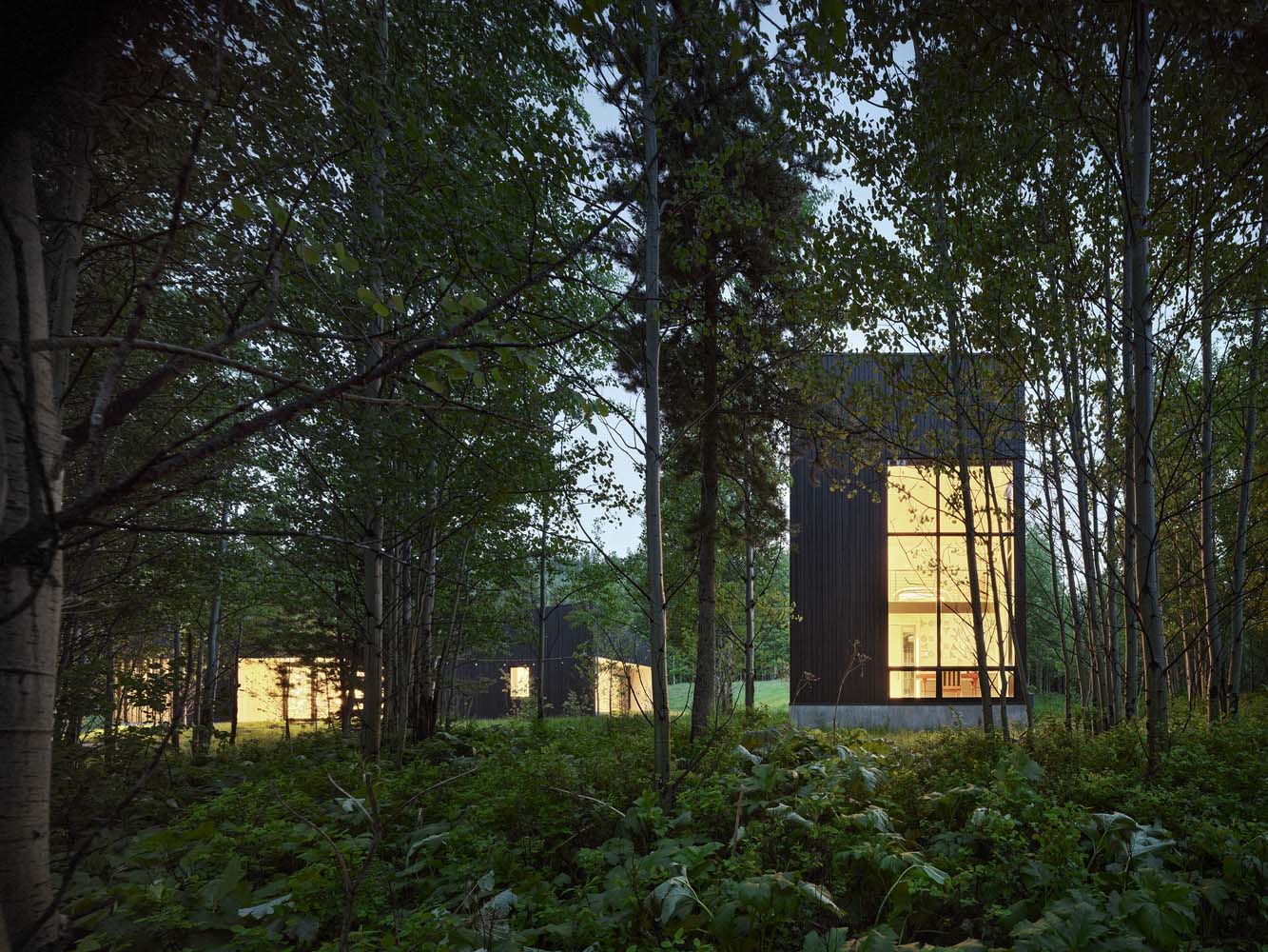 CLB Architects,別墅設計案例,別墅設計,別墅設計方案,森林度假別墅,美國,威爾遜,墨爾本,森林景觀別墅