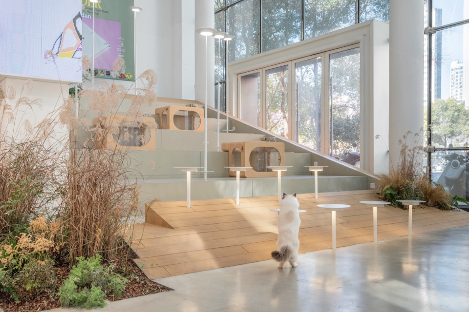 寵物友好空間設計,戶外寵物場地設計,咖啡廳寵物場地設計,景觀改造,上海sorry dog咖啡空間設計,上海,空間站建築師事務所