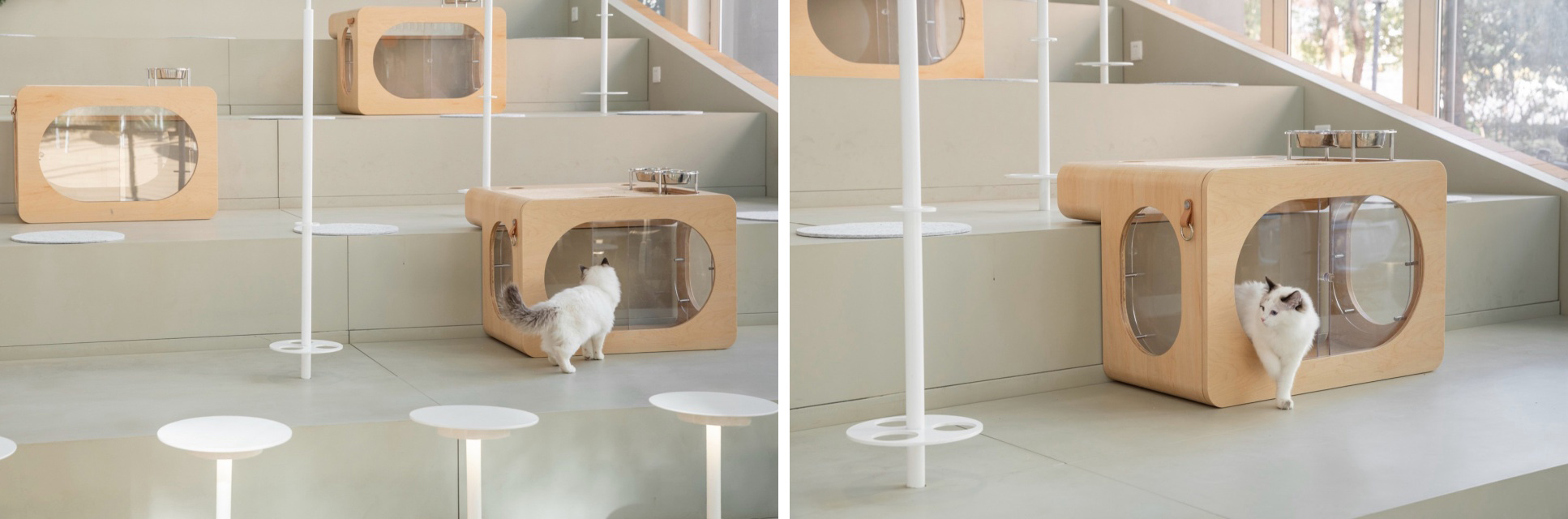 寵物友好空間設計,戶外寵物場地設計,咖啡廳寵物場地設計,景觀改造,上海sorry dog咖啡空間設計,上海,空間站建築師事務所