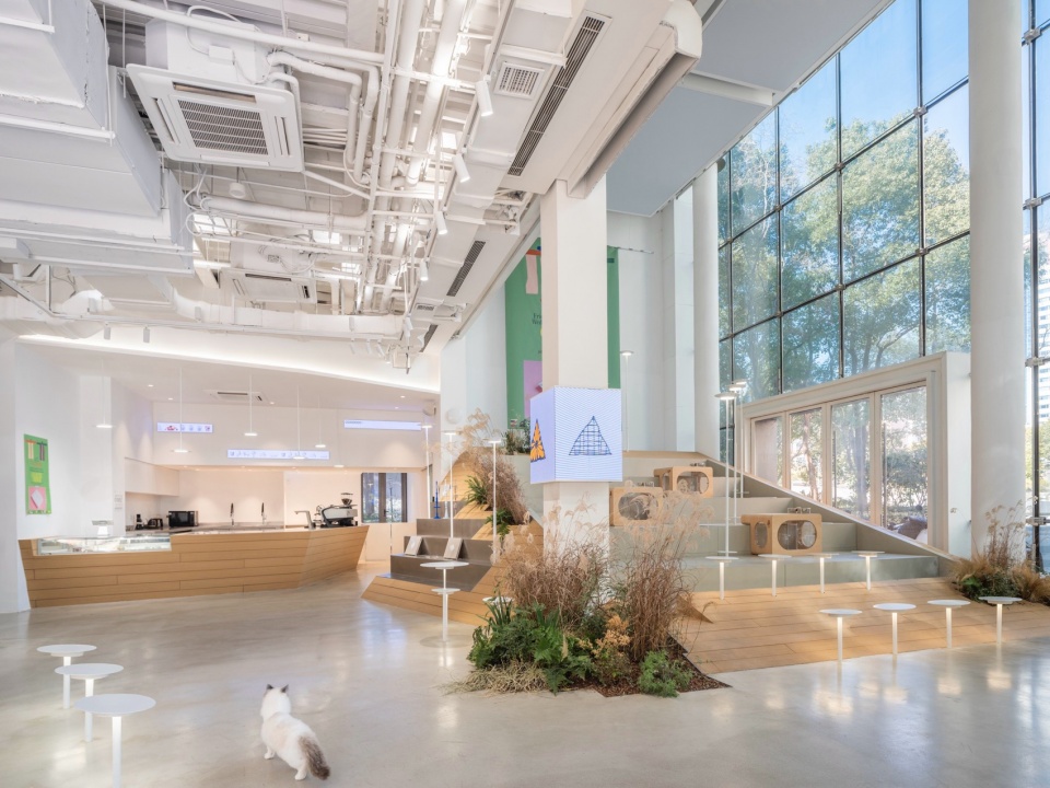 寵物友好空間設計,戶外寵物場地設計,咖啡廳寵物場地設計,景觀改造,上海sorry dog咖啡空間設計,上海,空間站建築師事務所