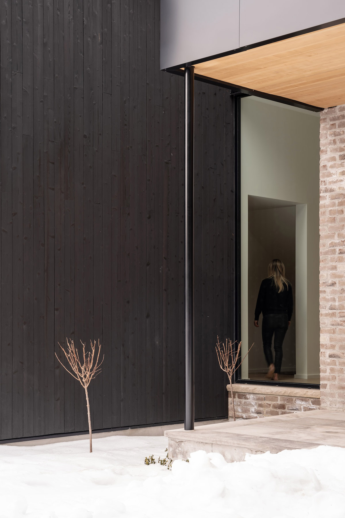 Studio Fabiana Todescan,別墅設計,加拿大,別墅設計案例,別墅設計方案,極簡主義別墅,景觀別墅,極簡風格